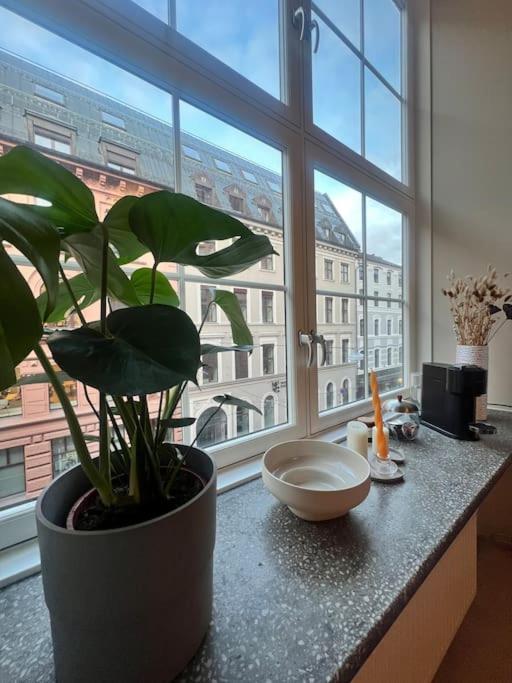 Koselig Leilighet I Sentrum Av Oslo Med Byutsikt! Екстериор снимка